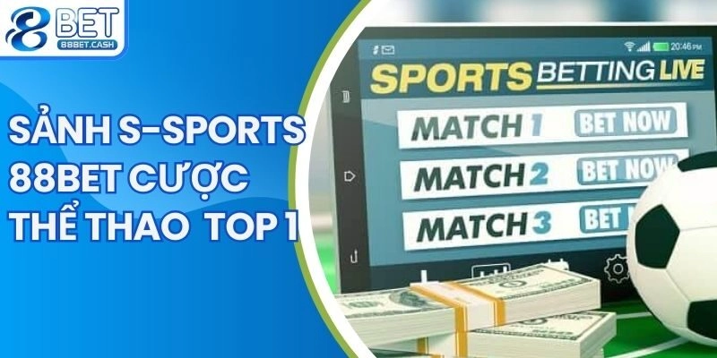 Giới thiệu đôi nét về sảnh thể thao S - Sports